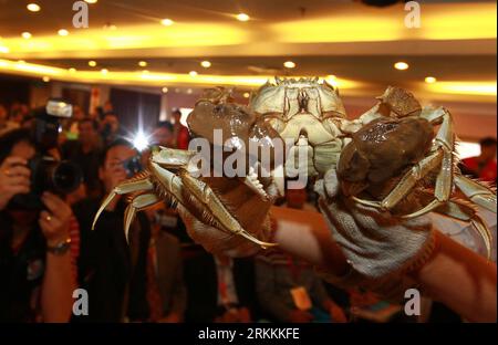 Bildnummer: 56253873  Datum: 06.11.2011  Copyright: imago/Xinhua (111106) -- SHANGHAI, Nov. 6, 2011 (Xinhua) -- A staff member shows the Hairy Crab King of the Year during the 5th Fengshou Cup National River Crab Contest in Shanghai, east China, Nov. 6, 2011. More than 40 crab-raising enterprises sent about a thousand crabs to compete for the crab king and queen of the year and other awards. (Xinhua/Pei Xin) (zkr) CHINA-SHANGHAI-CRAB-CONTEST(CN) PUBLICATIONxNOTxINxCHN Wirtschaft Krebs Flusskrebs Tiere Wettbewerb xns x0x 2011 quer      56253873 Date 06 11 2011 Copyright Imago XINHUA  Shanghai N Stock Photo