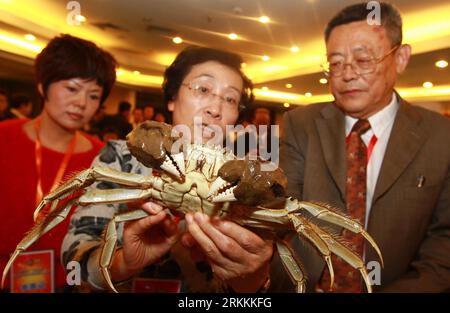 Bildnummer: 56253874  Datum: 06.11.2011  Copyright: imago/Xinhua (111106) -- SHANGHAI, Nov. 6, 2011 (Xinhua) -- Judges observe a crab during the 5th Fengshou Cup National River Crab Contest in Shanghai, east China, Nov. 6, 2011. More than 40 crab-raising enterprises sent about a thousand crabs to compete for the crab king and queen of the year and other awards. (Xinhua/Pei Xin) (zkr) CHINA-SHANGHAI-CRAB-CONTEST(CN) PUBLICATIONxNOTxINxCHN Wirtschaft Krebs Flusskrebs Tiere Wettbewerb xns x0x 2011 quer      56253874 Date 06 11 2011 Copyright Imago XINHUA  Shanghai Nov 6 2011 XINHUA Judges Observe Stock Photo