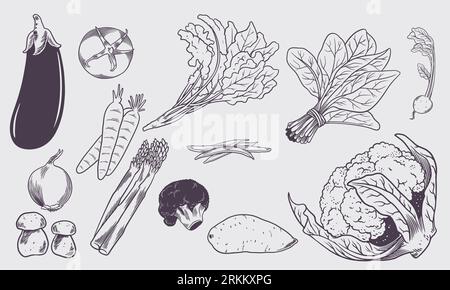 Vegetables big set of sketch collection isolated on white background. Stock Vector