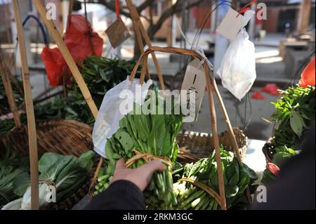Bildnummer: 56437654  Datum: 24.11.2011  Copyright: imago/Xinhua (111124) -- HENGXIAN, Nov. 24, 2011 (Xinhua) -- A villager picks up a bundle of Chinese kale from a basket whose handle ties a price tag and a plastic bag for money at a self-service vegetable market in Luofeng Village, Hexian County, south China s Guangxi Zhuang Autonomous Region, Nov. 24, 2011. The self-service market has a history over a century, according to local aged villagers. Every day, venders wash their vegetable, bale them, put them to those baskets for sale, and then leave for the farmland. As they finished working in Stock Photo