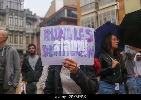 Oviedo, Spagna, 25 agosto 2023: Una ragazza mostra lo striscione "Rubiales rassegnazione" durante la manifestazione contro Luis Rubiales, a Oviedo, Spagna, il 25 agosto 2023. Credito: Alberto Brevers / Alamy Live News. Foto Stock