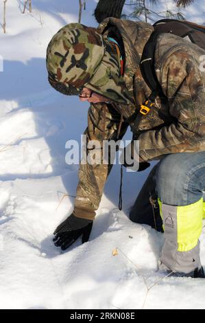 Bildnummer: 56887376  Datum: 10.01.2012  Copyright: imago/Xinhua (120115) -- HARBIN, Jan. 15, 2012 (Xinhua) -- Liu Tong, an expert with the New York-based non-profit organization Wildlife Conservation Society, checks a suspected paw print of siberian tiger in a forest farm of northeast China s Heilongjiang Province, Jan. 10, 2012. Dozens of volunteers braved freezing temperatures and knee-high snow to clear traps for endangered wild Siberian tigers in northeast China this week. In six groups, 73 volunteers searched six forest farms in the northeastern province of Heilongjiang in a four-day tra Stock Photo