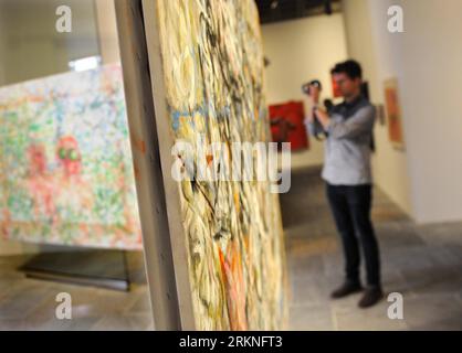 Bildnummer: 57116306 Datum: 27.02.2012 Copyright: imago/Xinhua (120228) -- NEW YORK, 28 febbraio 2012 (Xinhua) -- Un visitatore scatta foto durante un'anteprima stampa della Biennale Whitney del 2012 al Whitney Museum of American Art di New York, Stati Uniti, 27 febbraio 2012. La mostra d'arte contemporanea comprende scultura, fotografia, pittura, installazioni, danza, teatro, film e musica, in programma dal 1° marzo al 27 maggio. (Xinhua/Shen Hong) (zjy) US-NEW YORK-ART-2012 WHITNEY BIENNIAL PUBLICATIONxNOTxINxCHN Gesellschaft Kultur Kunst Ausstellung xjh x0x 2012 quer 57116306 Data 27 02 2012 Foto Stock