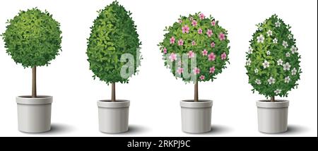 Piccoli alberi verdi sagomati in vasi con e senza fiori Set realistico illustrazione vettoriale isolata Illustrazione Vettoriale