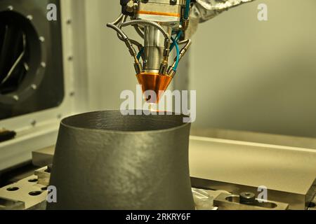 3d stampa di parti metalliche del dettaglio della polvere in laboratorio di impianto Foto Stock