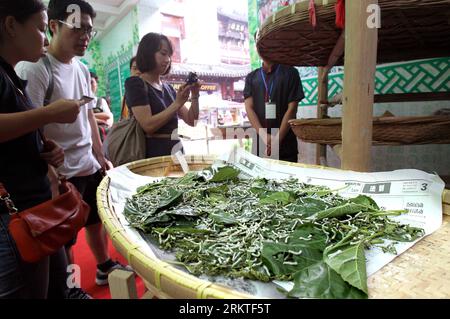 Bildnummer: 58463721 Datum: 12.09.2012 Copyright: imago/Xinhua (120912) -- SHANGHAI, 12 settembre 2012 (Xinhua) -- i visitatori guardano i bachi da seta ad uno spettacolo culturale nel giardino Yuyuan a Shanghai, Cina orientale, 12 settembre 2012. Martedì si è tenuto uno spettacolo culturale che presenta i progressi della fabbricazione della seta nel giardino Yuyuan di Shanghai per mostrare la storia e la tradizione delle tecniche cinesi di fabbricazione della seta. (Xinhua/Liu Ying) (zhs) CHINA-SHANGHAI-YUYUAN GARDEN-CULTURE SHOW (CN) PUBLICATIONxNOTxINxCHN Wirtschaft Ausstellung Seide x0x xmb 2012 quer 58463721 Data 12 09 2012 Copyright Imago XINHUA Shanghai se Foto Stock