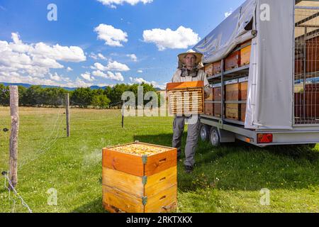 Ritratto di un apicoltore maschio sicuro che porta una cassa a nido d'ape all'apario Foto Stock