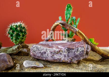 Podio di roccia naturale con cactus e driftwood per la presentazione del prodotto. Imitazione del deserto, sfondo rosso. Foto Stock