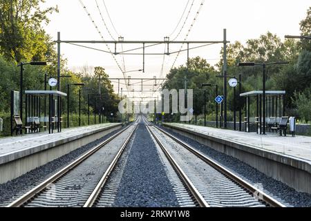 VOERENDAAL - la pista tra Heerlen e Valkenburg dove ProRail ha rimosso un set di tasso. I castelli si trovavano nell'argine ferroviario e minacciavano di rendere instabile la ferrovia. A causa del lavoro, nessun treno ha corso sul percorso per quasi un mese. ANP MARCEL VAN HOORN paesi bassi Out - belgio Out credito: ANP/Alamy Live News Foto Stock