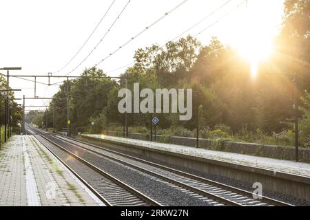 VOERENDAAL - la pista tra Heerlen e Valkenburg dove ProRail ha rimosso un set di tasso. I castelli si trovavano nell'argine ferroviario e minacciavano di rendere instabile la ferrovia. A causa del lavoro, nessun treno ha corso sul percorso per quasi un mese. ANP MARCEL VAN HOORN paesi bassi Out - belgio Out credito: ANP/Alamy Live News Foto Stock