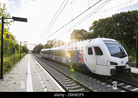 VOERENDAAL - un treno arriva sul binario tra Heerlen e Valkenburg dove ProRail ha rimosso un set di tasso. I castelli si trovavano nell'argine ferroviario e minacciavano di rendere instabile la ferrovia. A causa del lavoro, nessun treno ha corso sul percorso per quasi un mese. ANP MARCEL VAN HOORN paesi bassi Out - belgio Out credito: ANP/Alamy Live News Foto Stock