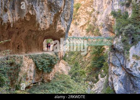 Two people walking under a stone arch near a bridge overlooking a deep canyon in a lush green forest Foto Stock