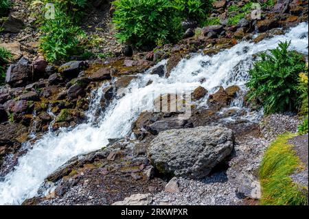 ruscello di montagna. il puro torrente di montagna scorre dai ghiacciai. paesaggio montano estivo nei prati alpini Foto Stock