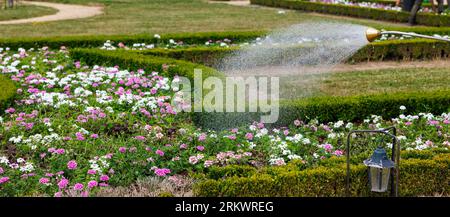 A garden hose spraying a stream of water over a vibrant, lush green grass garden with colorful flowers Stock Photo