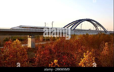 Bildnummer: 58785601 Datum: 25.11.2012 Copyright: imago/Xinhua (121125) -- ZHENGZHOU, 25 novembre 2012 (Xinhua) -- Un treno attraversa il ponte della ferrovia del fiume giallo nella città di Zhengzhou, capitale della provincia di Henan della Cina centrale, 25 novembre 2012. Secondo il Ministero delle Ferrovie, la linea ferroviaria ad alta velocità da Pechino alla città cinese meridionale di Guangzhou aprirà il mese prossimo, tagliando di 14 ore il tempo di percorrenza di 2.200 km. Un'operazione di prova lungo la sezione Pechino-Zhengzhou, l'ultima parte del percorso, è iniziata domenica mattina. (Xinhua/Qing Zhu) (lx) CHINA-ZHENGZHOU-HIGH SPEED RAIL (solo camera) Foto Stock