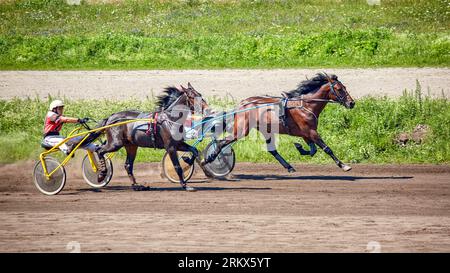 Kiev Ucraina 6 agosto 2023 trotter da corsa dell'ippodromo Foto Stock