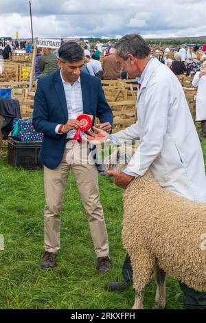 Leyburn, Regno Unito. 26 agosto 2023, Rishi Sunak primo Ministro britannico nelle penne di giudizio delle pecore, J.potter alamy news Foto Stock