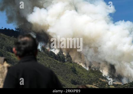 Bildnummer: 59040895  Datum: 11.01.2013  Copyright: imago/Xinhua A man watches a fire in Cota, on the outskirts of Bogota, Colombia, on Jan. 11, 2013. According to local press, four acres have been consumed by the fire, and about 30 families were evacuated. (Xinhua/Jhon Paz) (mp) (sp) BOGOTA-COTA-FIRE PUBLICATIONxNOTxINxCHN Gesellschaft Brand Feuer Waldbrand x0x xds 2013 quer premiumd     59040895 Date 11 01 2013 Copyright Imago XINHUA a Man Watches a Fire in Cota ON The outskirts of Bogota Colombia ON Jan 11 2013 According to Local Press Four Acres have been Consumed by The Fire and About 30 Stock Photo