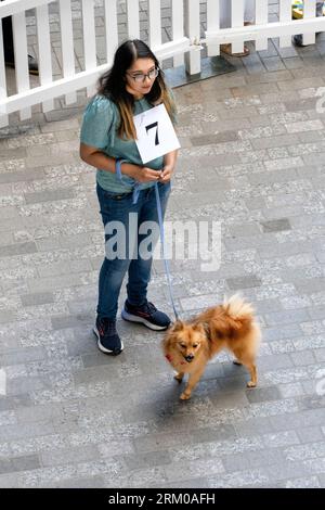 Big Woof Festival al Kings Cross Coal Drops yard di Londra per celebrare la giornata internazionale dei cani. Foto Stock