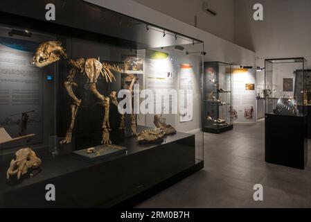 Musée du Malgré-Tout, museo di archeologia/archeologia da Neanderthal all'epoca gallo-romana a Treignes, Namur, Vallonia, Belgio Foto Stock