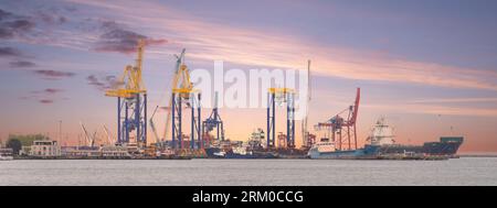 Splendida alba sul porto di Haydarpasa, Istanbul, Turchia, con navi da carico e gru sagomate contro il cielo. L'acqua riflette i colori dell'alba, creando una scena vivace ed energica Foto Stock