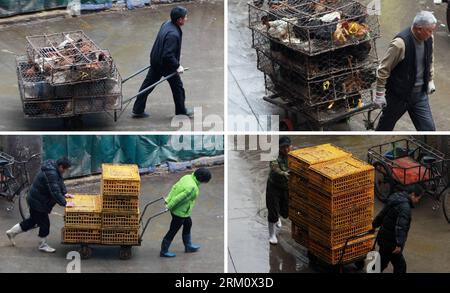 130405 -- SHANGHAI, April 5, 2013 Xinhua -- The combined photo taken on April 5, 2013 shows workers take encased live poultry out of the Sanguantang poultry and egg market in Shanghai, east China. The government of Shanghai Municipality said on Friday sales of live poultry will be suspended in the municipality from April 6 as the H7N9 strain of avian influenza has sickened 14 people and killed six. Xinhua/Ding Ting wjq CHINA-SHANGHAI-H7N9 BIRD FLU-LIVE POULTRY MARKET-CLOSE CN PUBLICATIONxNOTxINxCHN Stock Photo