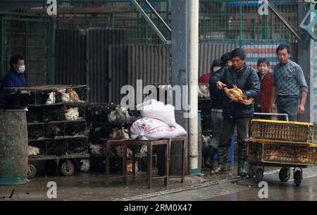 Bildnummer: 59477130  Datum: 05.04.2013  Copyright: imago/Xinhua (130405) -- SHANGHAI, April 5, 2013 (Xinhua) -- Workers conduct innocuous disposal of live poultry at the Sanguantang poultry and egg market in Shanghai, east China, April 5, 2013. The government of Shanghai Municipality said on Friday sales of live poultry will be suspended in the municipality from April 6 as the H7N9 strain of avian influenza has sickened 14 and killed six. (Xinhua/Ding Ting) (wjq) CHINA-SHANGHAI-H7N9 BIRD FLU-LIVE POULTRY MARKET-CLOSE (CN) PUBLICATIONxNOTxINxCHN Gesellschaft Vogelgrippe premiumd x2x xkg 2013 q Stock Photo