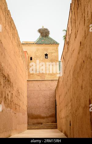 Marrakech, Marocco, 8 aprile 2023. Le antiche mura all'interno del Palazzo Badi di Marrakech. Foto Stock