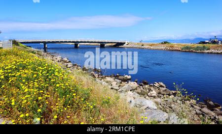 Marina del Rey (Los Angeles), California: Vista del BALLONA CREEK, un torrente canalizzato Foto Stock