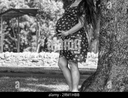 Donna incinta che si posa accanto a un albero, mettendosi le mani sulla pancia Foto Stock