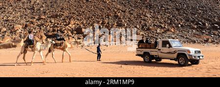 Cammelli vicino a Lawrence's Spring, Wadi Rum, Giordania, Medio Oriente Foto Stock