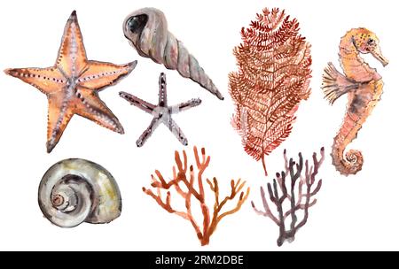 Set di illustrazioni a tema marino. Stelle, conchiglie, coralli e cavallucci marini. Illustrazione ad acquerello disegnata a mano. Per decorazione e design. Isolato Foto Stock