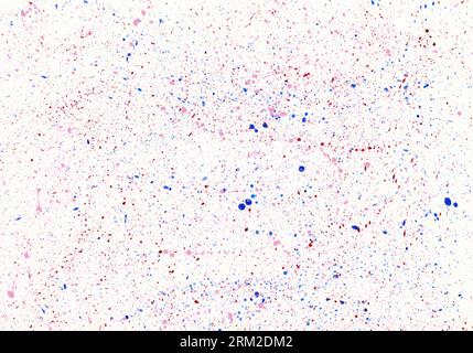 Sfondo astratto con grandi spruzzi di vernice in colori vivaci e inchiostri a tre colori. Divertente trama stencil naif. Vero getto di vernice, spruzzato wi Foto Stock