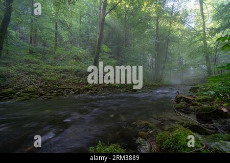 Ripresa ad ampio angolo della valle boscosa del fiume Punkva nel carsico moravo poco dopo la sua sorgente carsica. Condensa nebulizzata al di sopra del flusso d'acqua fredda. Foto Stock