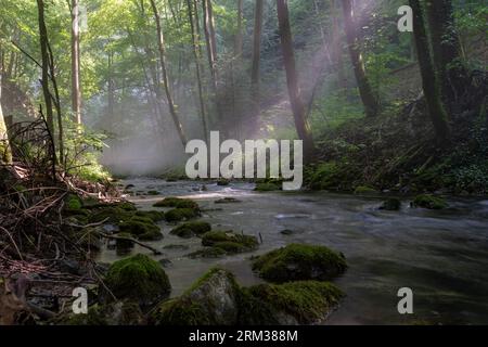 Ripresa ad ampio angolo della valle boscosa del fiume Punkva nel carsico moravo poco dopo la sua sorgente carsica. Condensa nebulizzata al di sopra del flusso d'acqua fredda. Foto Stock