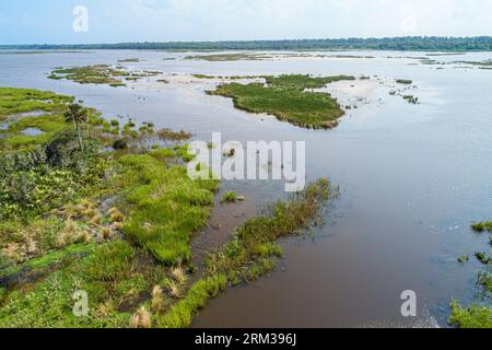 Ponte Vedra Beach Florida, Guana River Wildlife Management area, vista aerea dall'alto, paludi salate amache marittime pinete, natura naturale naturale Foto Stock