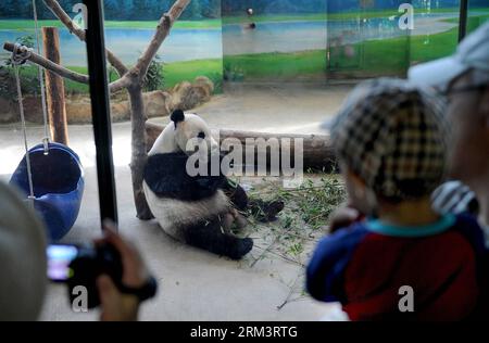 Bildnummer: 60314759 Datum: 04.08.2013 Copyright: imago/Xinhua i visitatori vedono il panda gigante Tuan Tuan , padre del cucciolo soprannominato Yuan Zai , allo zoo di Taipei a Taipei, sud-est della Cina, Taiwan, 4 agosto 2013. Lo zoo ha dato il via a un evento di un mese la domenica per dare il nome al cucciolo con attività live e online. Il cucciolo, nato il 6 luglio, è il primo bambino di una coppia di panda giganti, cioè Tuan Tuan e Yuan Yuan , che sono stati donati come regalo di buona volontà a Taiwan dalla Cina continentale. (Xinhua/Tao Ming) (hdt) CHINA-TAIPEI-GIANT PANDA (CN) PUBLICATIONxNOTxINxCHN Gesellschaft x2x xkg 2013 quer o0 Tier Pandab Foto Stock