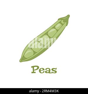 Immagine vettore pisello verde. Isolare su sfondo bianco. Elemento per schede, design del packaging. Illustrazione Vettoriale