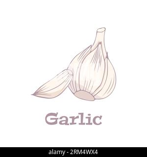 Il logo di aglio in stile appartamento. Oggetto isolato. Icona di aglio. Ortaggio dal giardino. Alimenti biologici. Illustrazione Vettoriale. Illustrazione Vettoriale