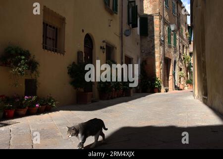 Bildnummer: 60528700 Datum: 25.09.2013 Copyright: imago/Xinhua Un gatto cammina davanti a una strada nel centro storico di Pienza, Italia, 25 settembre 2013. Fu in questa città toscana che i concetti di urbanistica rinascimentale furono messi in pratica per la prima volta dopo che Papa Pio II decise, nel 1459, di trasformare l'aspetto del suo luogo di nascita. Scelse l'architetto Bernardo Rossellino, che applicò i principi del suo mentore, Leon Battista Alberti. Questa nuova visione dello spazio urbano è stata realizzata nella superba piazza conosciuta come Piazza Pio II e negli edifici che la circondano: Palazzo Piccolomini, Palazzo Borgia e la CA Foto Stock