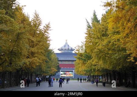 Bildnummer: 60674776 Datum: 30.10.2013 Copyright: imago/Xinhua BEIJING (Xinhua) -- fare esercizi mattutini al Parco del Tempio del Paradiso a Pechino, capitale della Cina, 30 ottobre 2013. (Xinhua/Chen Yehua) (mt) CINA-PECHINO-SCENARIO AUTUNNALE (CN) PUBLICATIONxNOTxINxCHN Gesellschaft x0x xsk 2013 quer 60674776 Data 30 10 2013 Copyright Imago XINHUA Pechino XINHUA fare esercizi mattutini PRESSO il Parco del Tempio del Paradiso a Pechino capitale della Cina OCT 30 2013 XINHUA Chen Yehua Mt China Beijing Autumn Scenic CN PUBLICATIONxNOTxINxCHN Society x0x xSK 2013 orizzontale Foto Stock