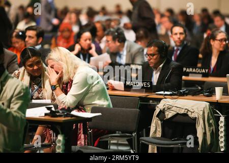 Bildnummer: 60746746 Datum: 23.11.2013 Copyright: imago/Xinhua (131123) -- VARSAVIA, 23 novembre 2013 (Xinhua) -- i delegati partecipano a una sessione di riunione durante la conferenza delle Nazioni Unite sui cambiamenti climatici del 2013 a Varsavia, Polonia, il 23 novembre 2013. I colloqui sul clima delle Nazioni Unite durati due settimane sono stati ritardati di oltre 12 ore a causa di stallo tra i paesi sviluppati e quelli in via di sviluppo in materia di finanziamento del clima, meccanismo di perdita e danno e tabella di marcia per fare promesse di riduzione delle emissioni. (Xinhua/Zhang fan) CONFERENZA POLONIA-VARSAVIA-CAMBIAMENTO CLIMATICO PUBLICATIONxNOTxINxCHN Politik x0x xkg 2013 quer Foto Stock