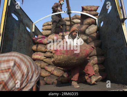 (140104) -- KABUL, 4 gennaio 2014 (Xinhua) -- uomini afghani scaricano sacchi di carbone donati dal governo tedesco a Kabul, Afghanistan, il 4 gennaio 2014. Centinaia di famiglie sfollate hanno ricevuto aiuti invernali sabato. (Xinhua/Ahmad Massoud) AFGHANISTAN-KABUL-WINTER RELIEF PUBLICATIONxNOTxINxCHN Kabul 4 gennaio 2014 XINHUA afghani scaricano sacchetti di carbone donati dal governo tedesco a Kabul Afghanistan IL 4 gennaio 2014 centinaia di famiglie sfollate hanno ricevuto beni di soccorso invernale sabato XINHUA Ahmad Massoud Afghanistan Kabul Winter Relief PUBLICATIONTXINXINXCHN Foto Stock