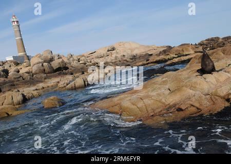 (140111) -- CABO POLONIO, 10 gennaio 2014 (Xinhua) -- i leoni marini riposano di fronte al faro di Cabo Polonio, nel dipartimento di Rocha, a 280 km da Montevideo, capitale dell'Uruguay, il 10 gennaio 2014. L'Uruguay ospita le più grandi colonie di leoni marini del mondo in alcuni punti delle sue spiagge ed è molto attraente per il turismo ecologico. Si calcola che la popolazione aumenti anno dopo anno con la nascita di più di 35.000 cuccioli di leoni marini. (Xinhua/Nicolas Celaya) (rt) (fnc) URUGUAY-CABO POLONIO-ENVIRONMENT-FAUNA PUBLICATIONxNOTxINxCHN Cabo Polonio 10 gennaio 2014 XINHUA Sea Lions Rest a Fron Foto Stock