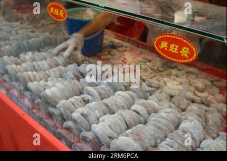 (140124) -- SINGAPORE, 24 gennaio 2014 (Xinhua) -- People Shop at a Chinese Lunar New Year Market a Singapore, 24 gennaio 2014. (Xinhua/Then Chih Wey)(bxq) SINGAPORE-LUNAR NEW YEAR PUBLICATIONxNOTxINxCHN Singapore Jan 24 2014 XINHUA Celebrities Shop AT a Chinese Lunar New Year Market a Singapore Jan 24 2014 XINHUA Then Chih Wey Singapore Lunar New Year PUBLICATIONxNOTxINxCHN Foto Stock