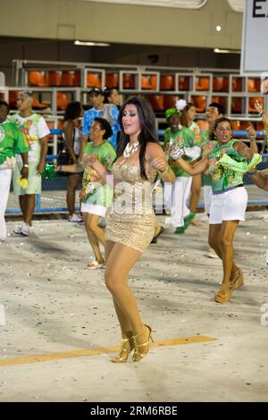 Gli artisti di una scuola di samba di nome Imperio Serrano nel gruppo Access prendono parte a una prova del Carnevale a Sambodromos a Rio de Janeiro, Brasile, 26 gennaio 2014. Con l'avvicinarsi del Carnevale annuale di Rio de Janeiro, i partecipanti hanno iniziato le loro prove presso il famoso Sambodromos nei giorni scorsi. (Xinhua/Xu Zijian) (zjl) BRASILE-RIO DE JANEIRO-CARNIVAL-REHEARSAL PUBLICATIONxNOTxINxCHN Performer di una scuola Samba di nome Imperio Serrano nel gruppo Access prendono parte a una prova del Carnevale A Rio de Janeiro Brasile gennaio 26 2014 mentre il Carnevale annuale di Rio de Janeiro si avvicina Foto Stock