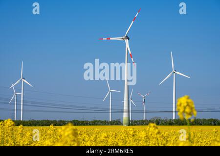 Turbine eoliche e linee elettriche in un campo di colza fiorita visto in Germania Foto Stock