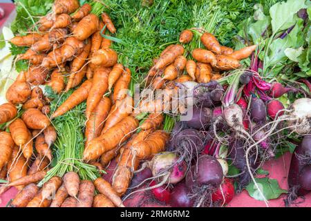 Carote, ravanelli e barbabietole in vendita in un mercato Foto Stock