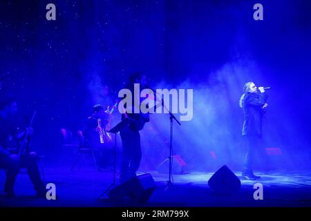(140219) -- TEHERAN, 19 febbraio 2014 (Xinhua) -- musicisti iraniani si esibiscono in un concerto pop durante l'ultimo giorno del 29° Fadjr International Music Festival a Teheran, Iran, il 19 febbraio 2014. (Xinhua/Ahmad Halabisaz) IRAN-TEHERAN-MUSIC FESTIVAL PUBLICATIONxNOTxINxCHN TEHERAN 19 febbraio 2014 i musicisti iraniani XINHUA si esibiscono IN un concerto pop durante il Load Day del 29° Fadjr International Music Festival a TEHERAN Iran IL 19 febbraio 2014 XINHUA Ahmad Halabisaz Iran TEHERAN Music Festival PUBLICATIONXNOTXINXINXINXN Foto Stock