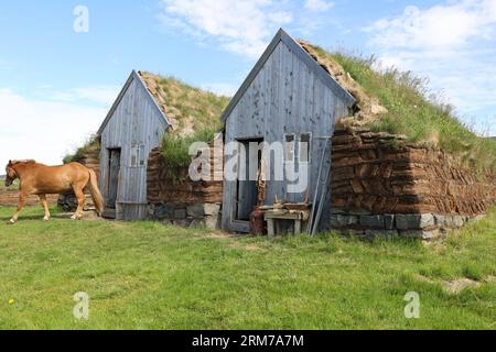 Tradizionali case in erba islandese - una casa di riposo è una dimora permanente nell'arte di una casa di terra Foto Stock